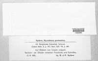 Image Associated With the Occurence